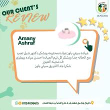 City Paws Client Review