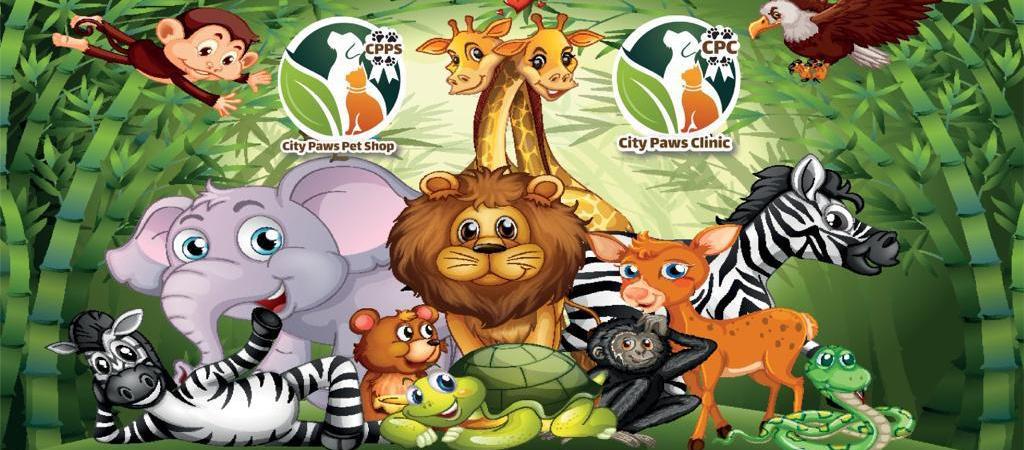 City Paws Clinic عيادة سيتي باوز
